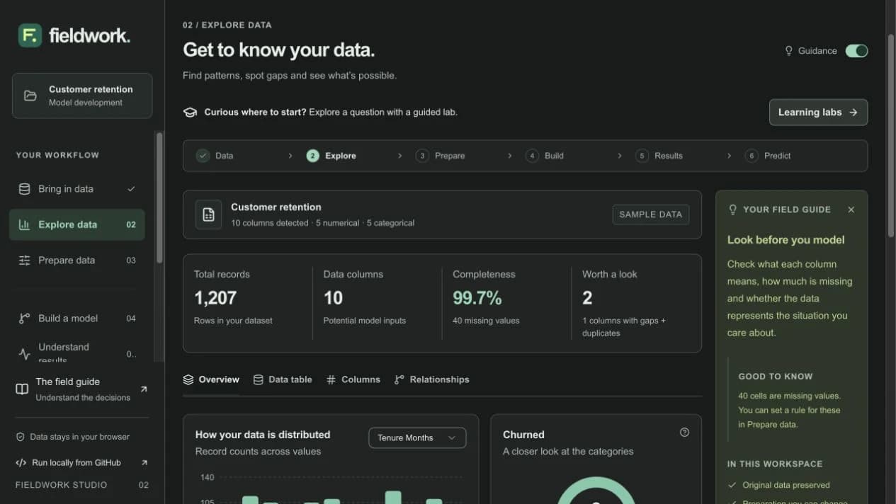 Fieldwork data exploration workspace using synthetic customer records